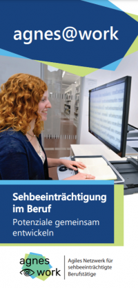 Screenshot Projektflyer